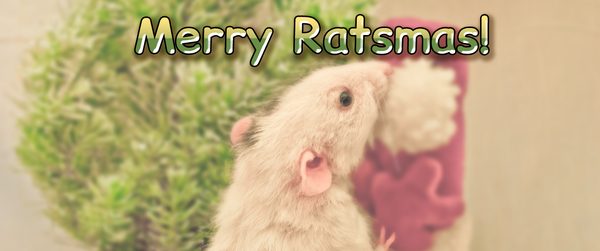 Merry Ratsmas!