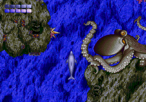 Ecco trying to swim past an octopus