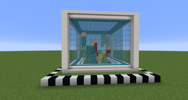 The aquarium build