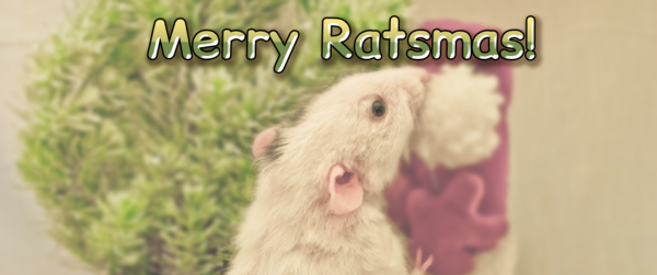 Merry Ratsmas!