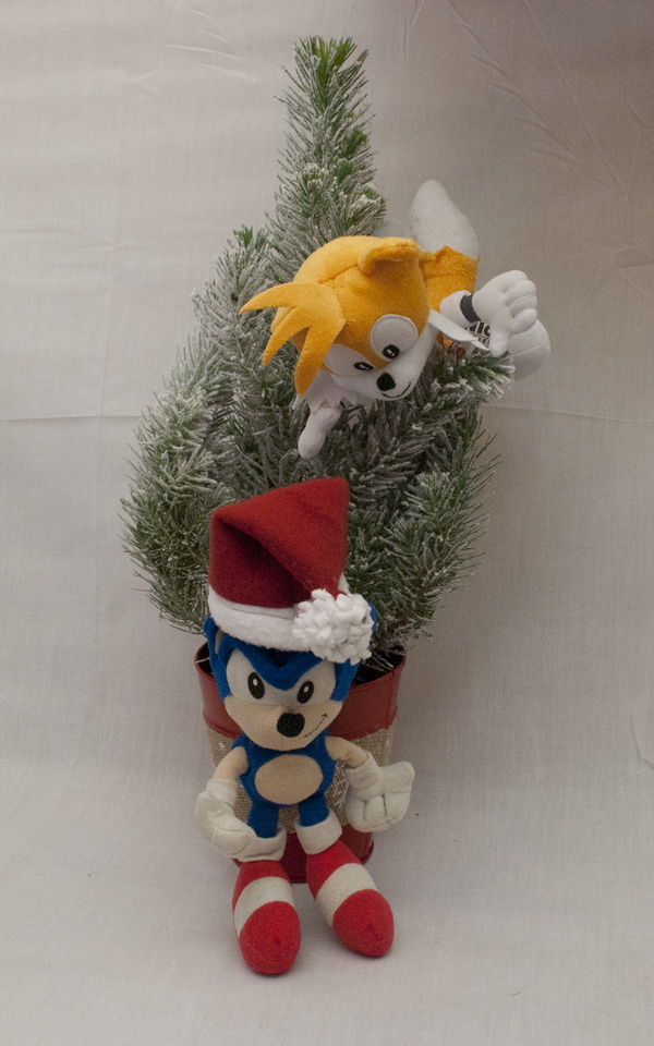 A plush Sonic in front of a small potted tree with Tails on top.