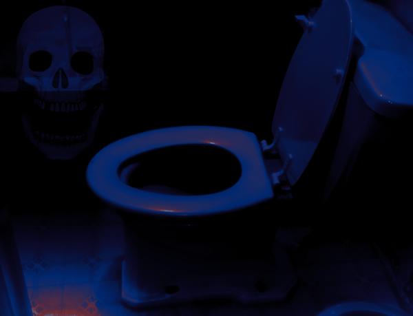 The same toilet as before. There is a screaming skull edited into the corner.